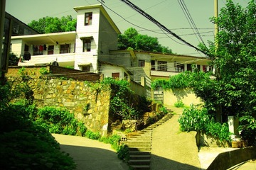 TAN_2346-2.jpg