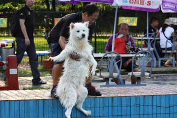 IMG_4785.jpg