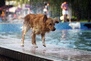 IMG_4887.jpg