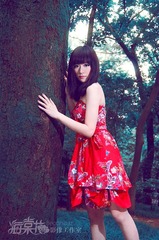 绿野仙踪1