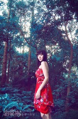 绿野仙踪2