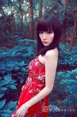 绿野仙踪4