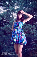 绿野仙踪6