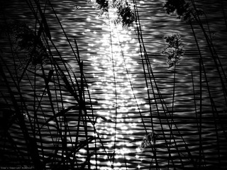 DSCF1479_nEO_IMG.jpg