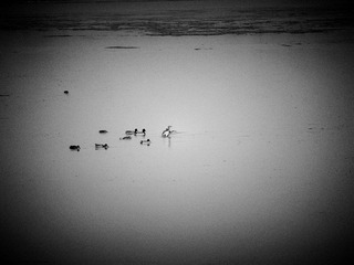 DSCF1484_nEO_IMG.jpg