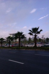IMAG0829.jpg