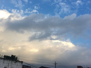 9554316B-0DD2-48D9-BF4F-05AECB4569A0/L0/001