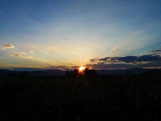 14080