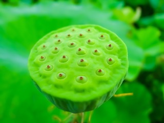 1191