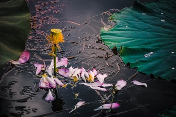 188F17C9-DFDB-4992-B9A9-17DDFF7E7C4E/L0/001