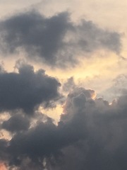 1447945