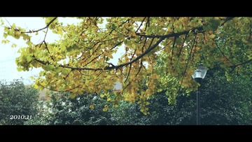 ZJY_DSCN0368-1