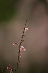 6257B023-BEEA-4A23-9D23-C7BDD1B6FBC8/L0/001
