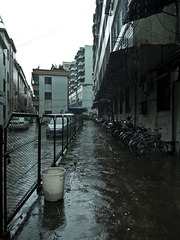 IMG_0047.jpg