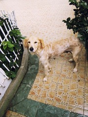 IMG_0194.jpg