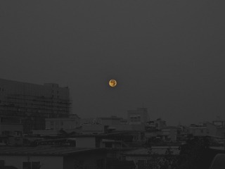 IMG_0644 副本.jpg