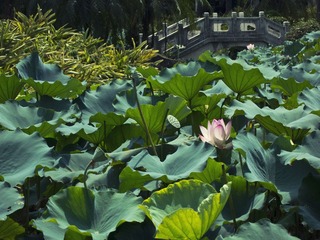 IMG_0740 副本.jpg
