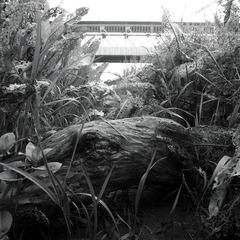 木拦道.jpg