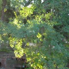 1897017