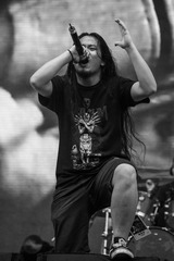 IMG_1292.jpg