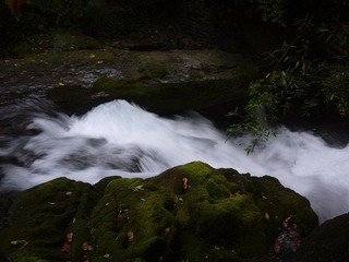 P1040841.JPG