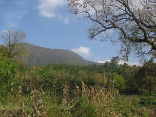 CIMG0031.JPG