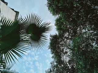 A9848E69-B19B-4813-88F9-F8ECBA9DA06C/L0/001