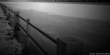 DSC03495a.jpg