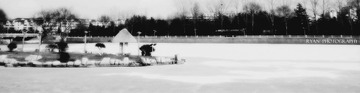 DSC03518a.jpg