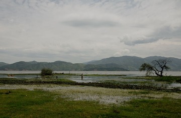 Dodo_21