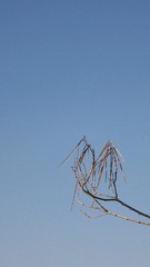 BE1B4B92-18EC-4B6B-9700-9B03FE5361D5/L0/001