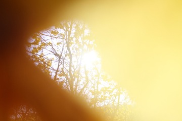 F9D728F5-C072-4AB2-8711-968F49C9F1F7/L0/001
