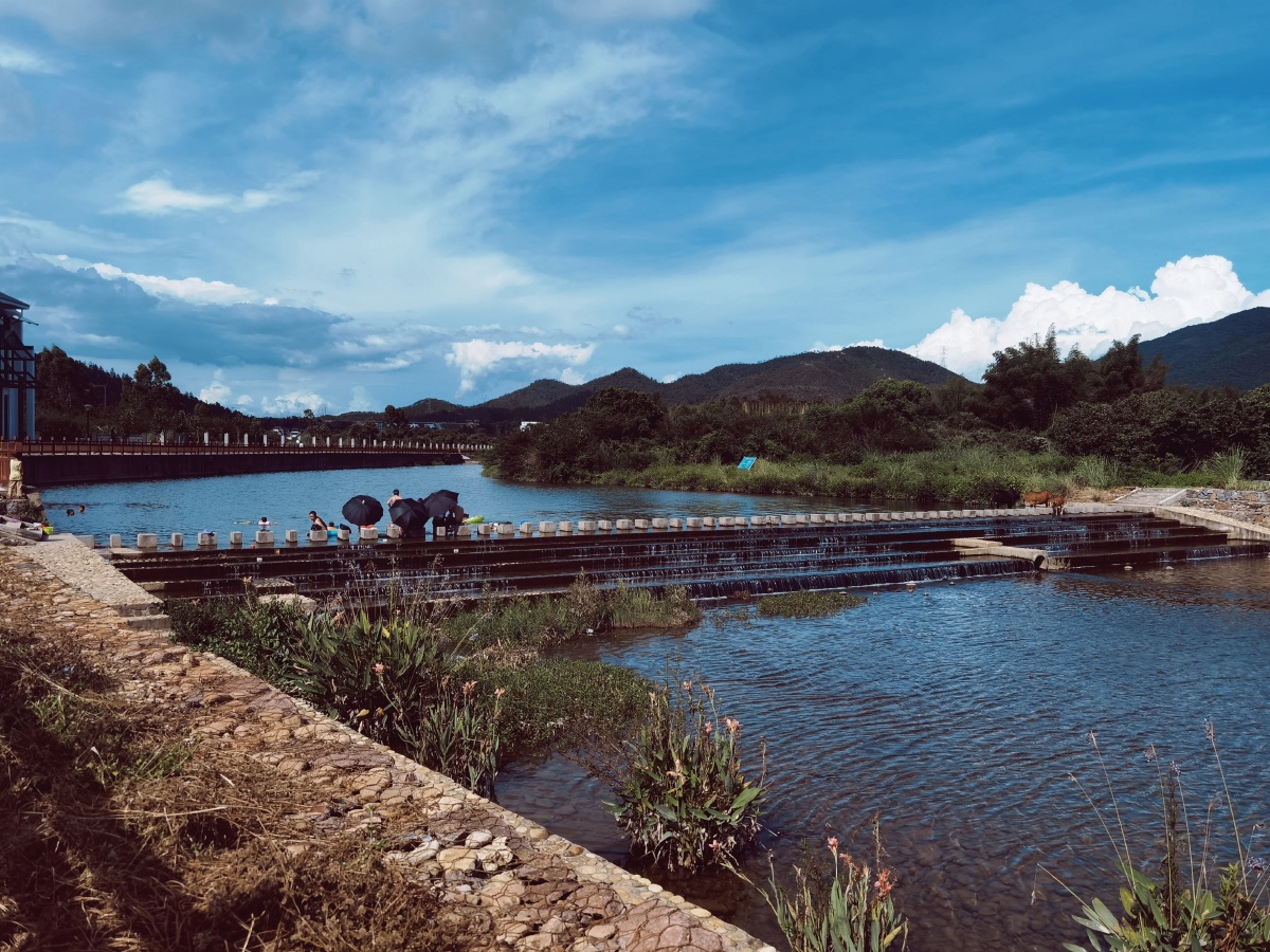 爱树白马河畔惠州最美民宿之一