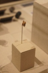DSC02336.jpg