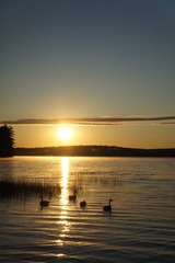 DSC01126.jpg