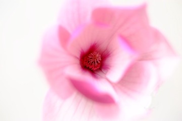 DSCF34523.jpg