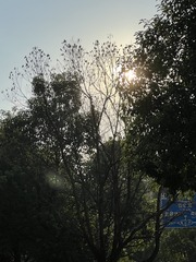 FE0EF9AD-7F79-433E-A145-051AB3C0FC3B/L0/001