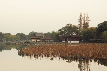 IMG_1061.jpg