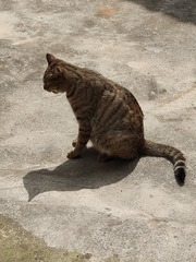 1000030599