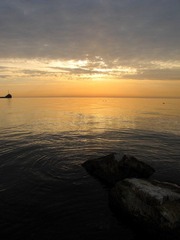 IMG_1508.JPG