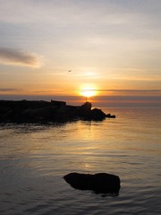 IMG_1411.JPG