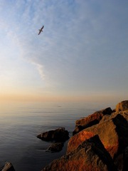 IMG_1449校准.jpg