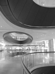 IMG_1143.JPG