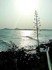 20120324-058.JPG