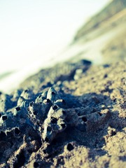 20120325-127.JPG