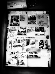 20120403-P4031142.JPG