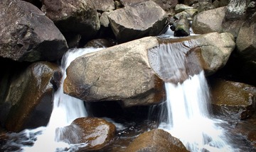 20120408-P4081339.JPG