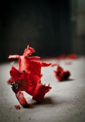 20120714-088.JPG