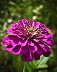 20120715-173.JPG