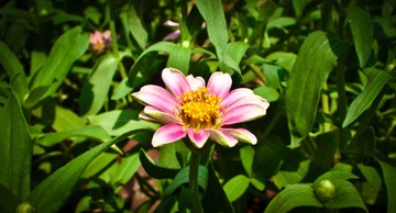 20120715-163.JPG